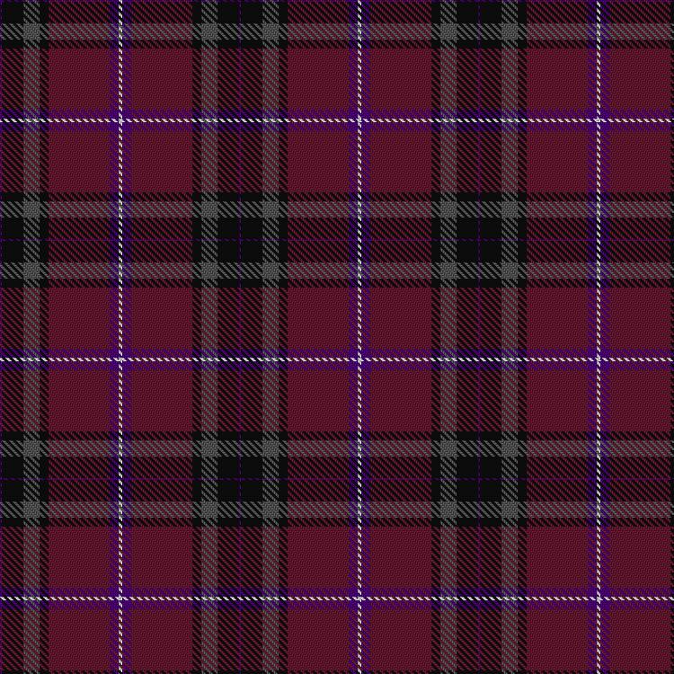 Tartan image: Thomson, Reona Ellen (Personal). Click on this image to see a more detailed version.