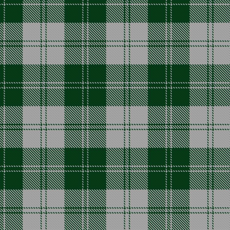 Tartan image: Erskine Green. Click on this image to see a more detailed version.