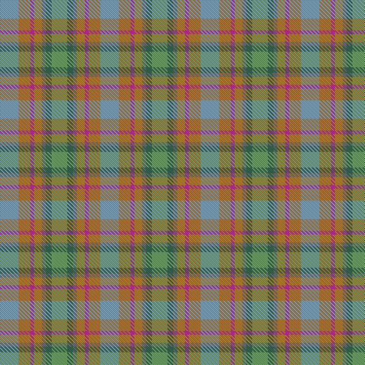 Tartan image: Aberdeenshire Home Colours. Click on this image to see a more detailed version.