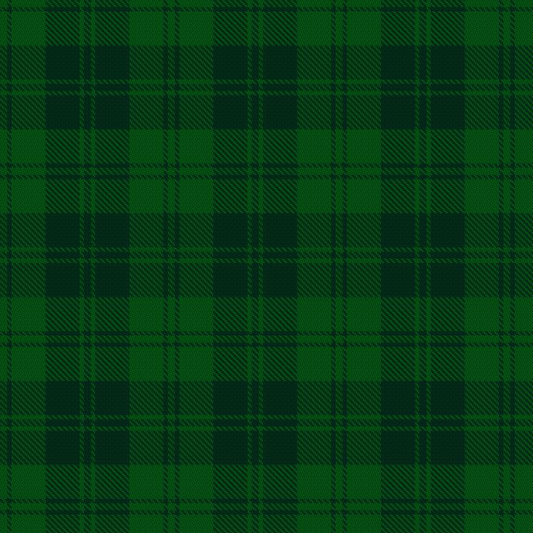 Tartan image: Erskine Hunting. Click on this image to see a more detailed version.