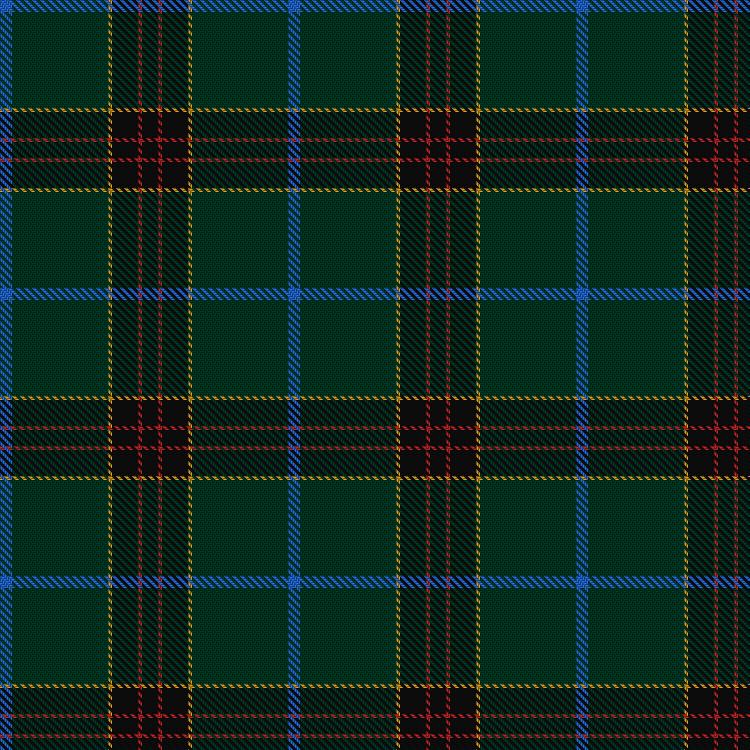 Tartan image: Green Swamp Youth Campers. Click on this image to see a more detailed version.