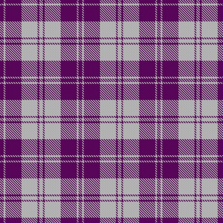 Tartan image: Erskine Purple (Dance). Click on this image to see a more detailed version.