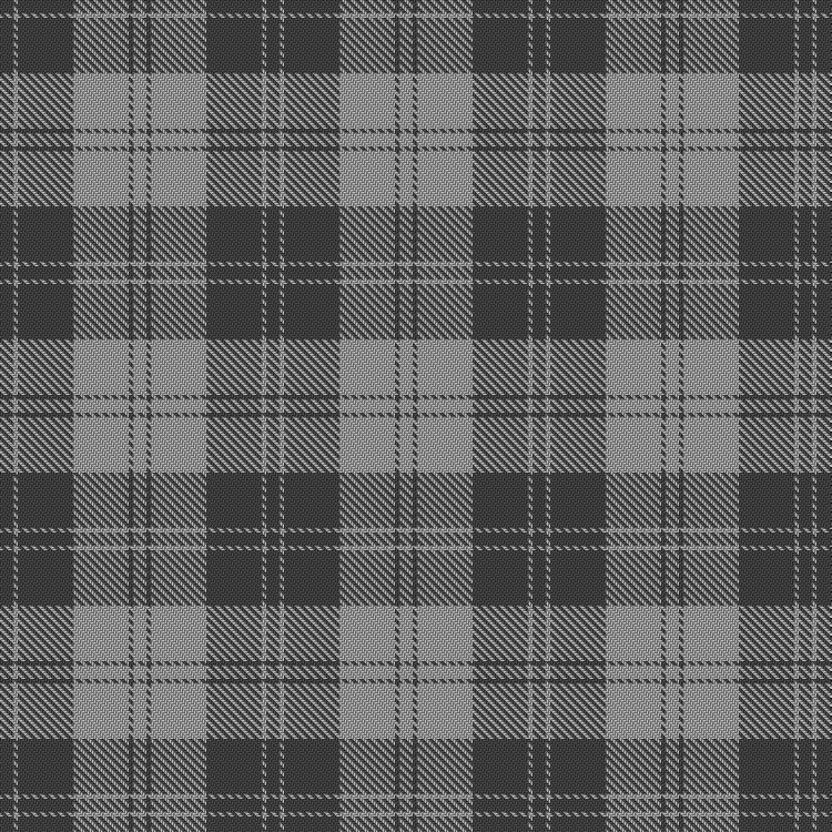 Tartan image: Erskine, Grey. Click on this image to see a more detailed version.