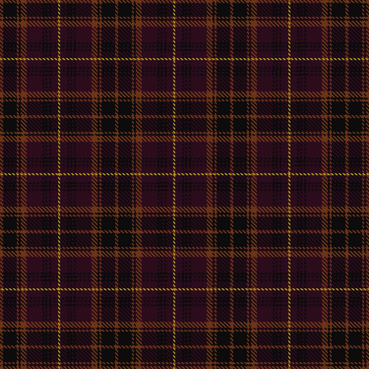 Tartan image: Etihad Airways. Click on this image to see a more detailed version.