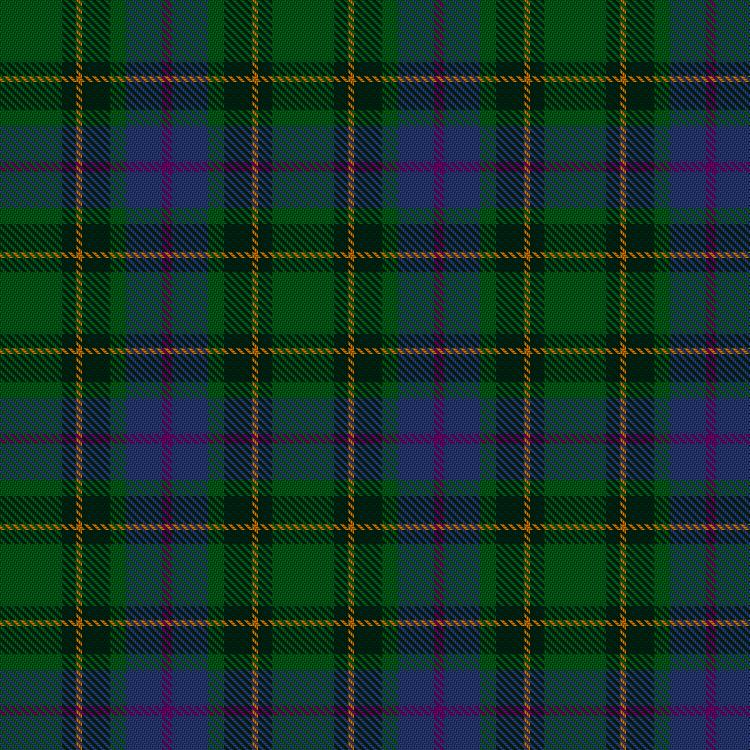 Tartan image: Reidy Wedding. Click on this image to see a more detailed version.