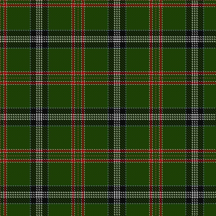 Tartan image: Knox, David Paul (Personal). Click on this image to see a more detailed version.