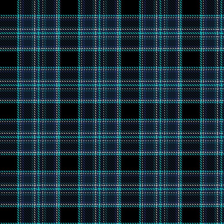 Tartan image: AIS Group. Click on this image to see a more detailed version.