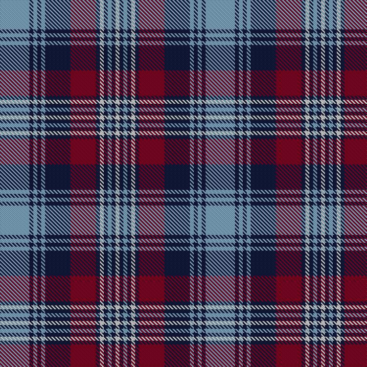 Tartan image: Mearns Castle High School. Click on this image to see a more detailed version.