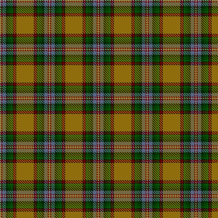 Tartan image: Essex County (Ontario). Click on this image to see a more detailed version.