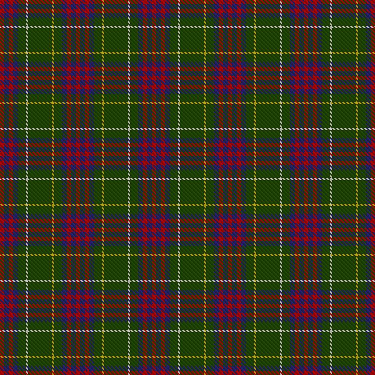 Tartan image: Clackson Hunting (Personal). Click on this image to see a more detailed version.