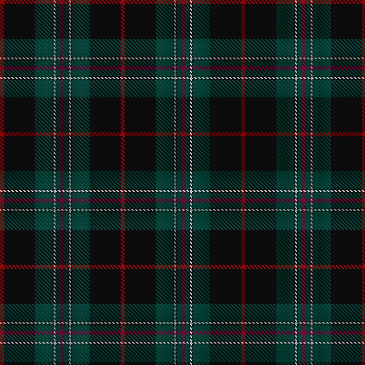 Tartan image: Hot Boontjie. Click on this image to see a more detailed version.