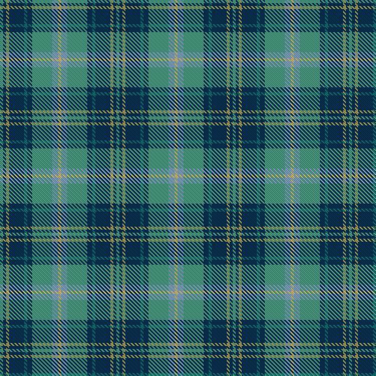 Tartan image: WestJet. Click on this image to see a more detailed version.