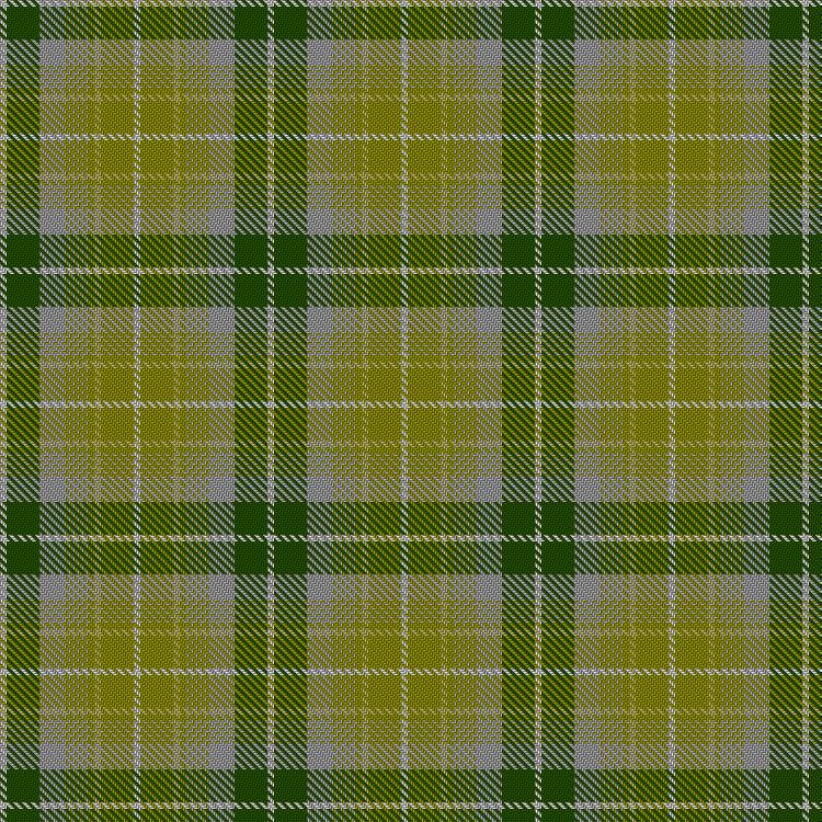 Tartan image: Green Thistle. Click on this image to see a more detailed version.