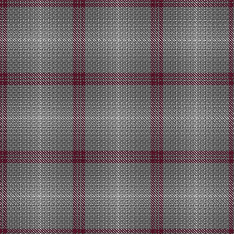Tartan image: Qatar Airways. Click on this image to see a more detailed version.