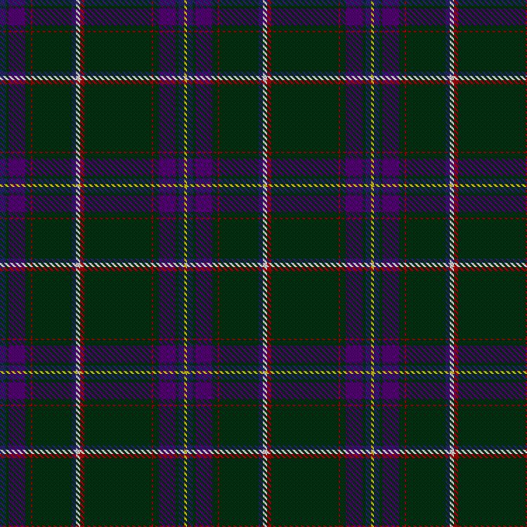 Tartan image: Wallenberg, Nicolas (Personal). Click on this image to see a more detailed version.