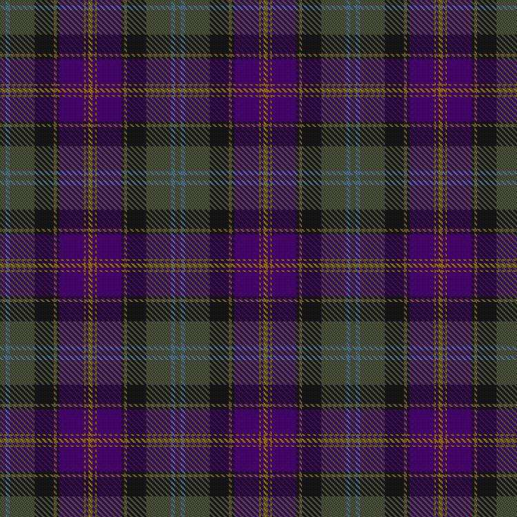 Tartan image: Caisteal Leòdhais. Click on this image to see a more detailed version.