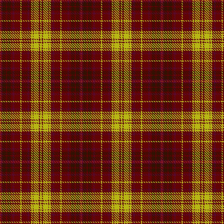 Tartan image: Thom, Calum (Personal). Click on this image to see a more detailed version.