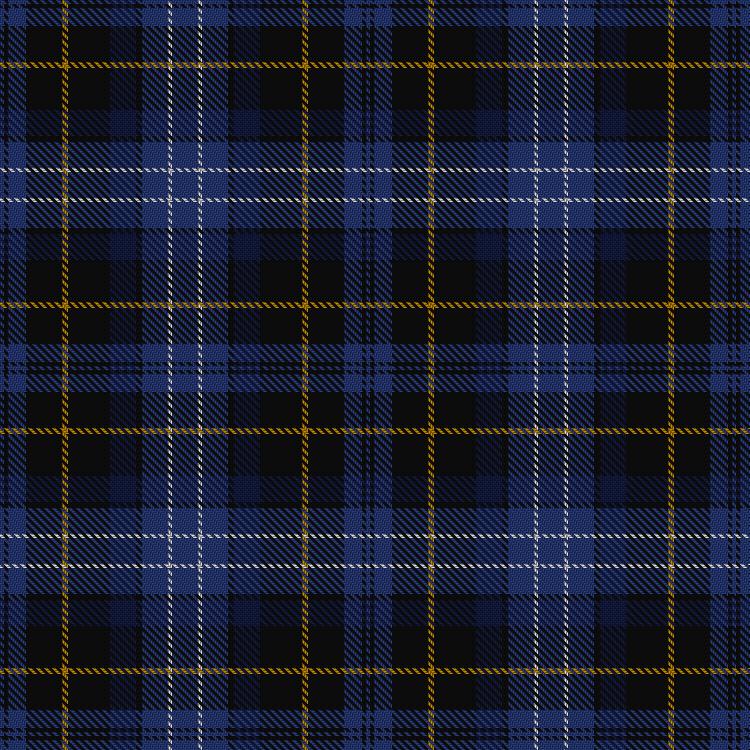 Tartan image: Haus of RvR. Click on this image to see a more detailed version.
