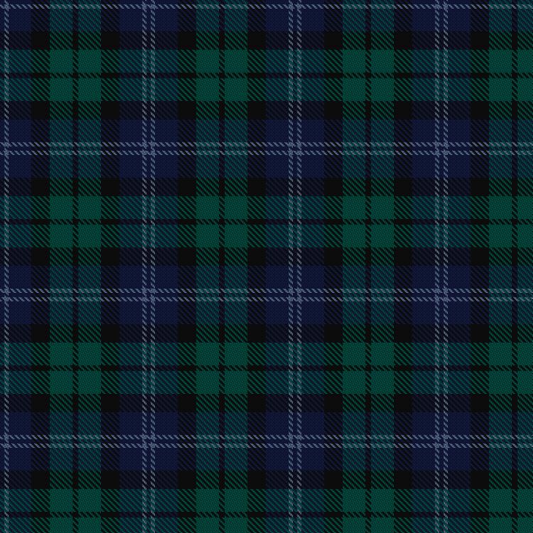 Tartan image: I Y. Click on this image to see a more detailed version.