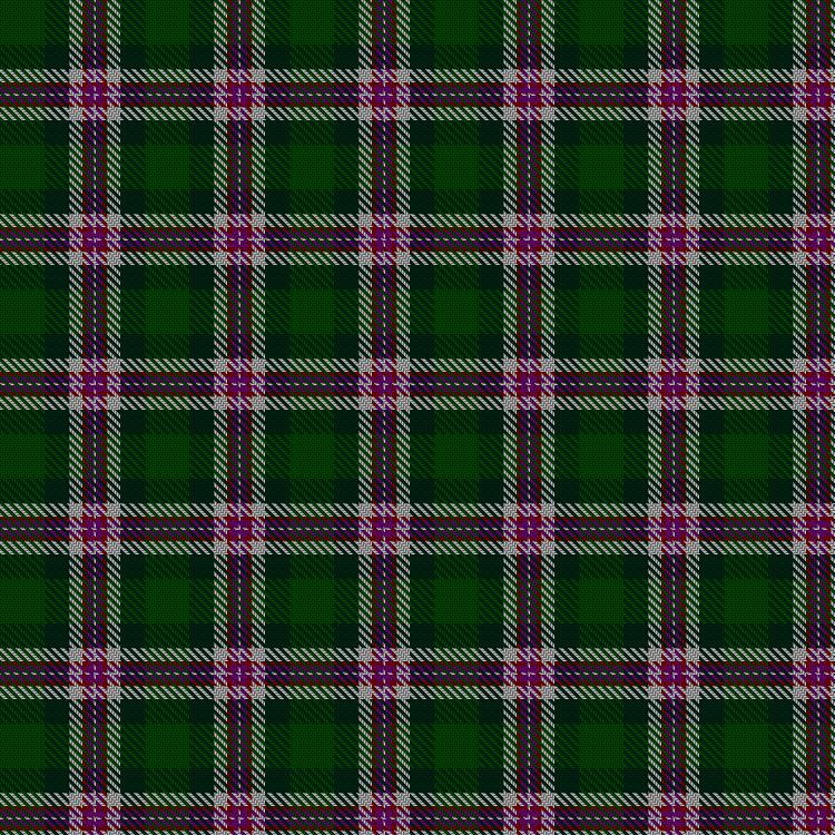 Tartan image: Chiti, Cristiano (Personal). Click on this image to see a more detailed version.