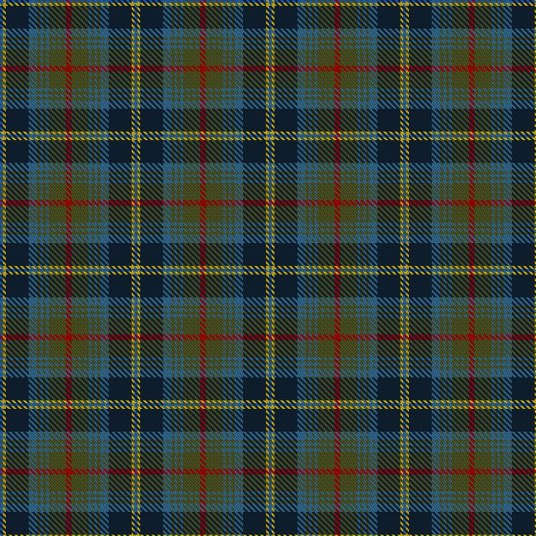 Tartan image: Haines Family (Personal). Click on this image to see a more detailed version.