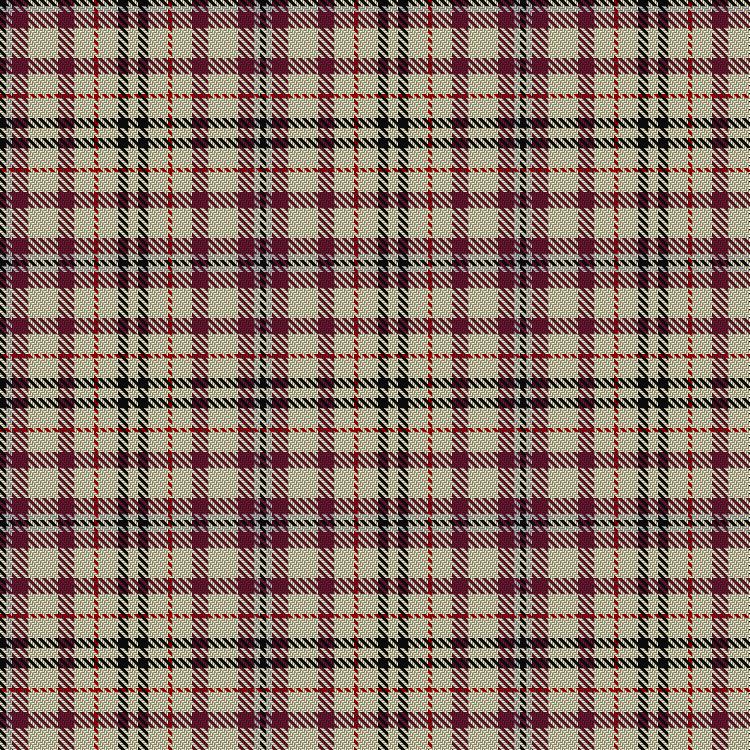 Tartan image: Dijkgraaf, Markus Jack (Personal). Click on this image to see a more detailed version.