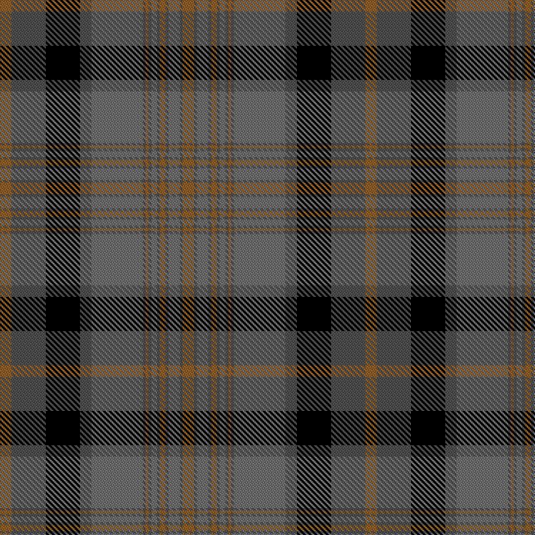 Tartan image: Ettrick (Fashion). Click on this image to see a more detailed version.
