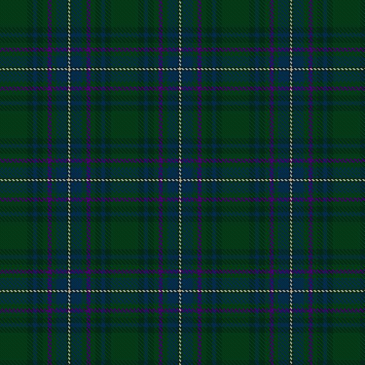 Tartan image: Camenisch Enveglan Family (Personal). Click on this image to see a more detailed version.