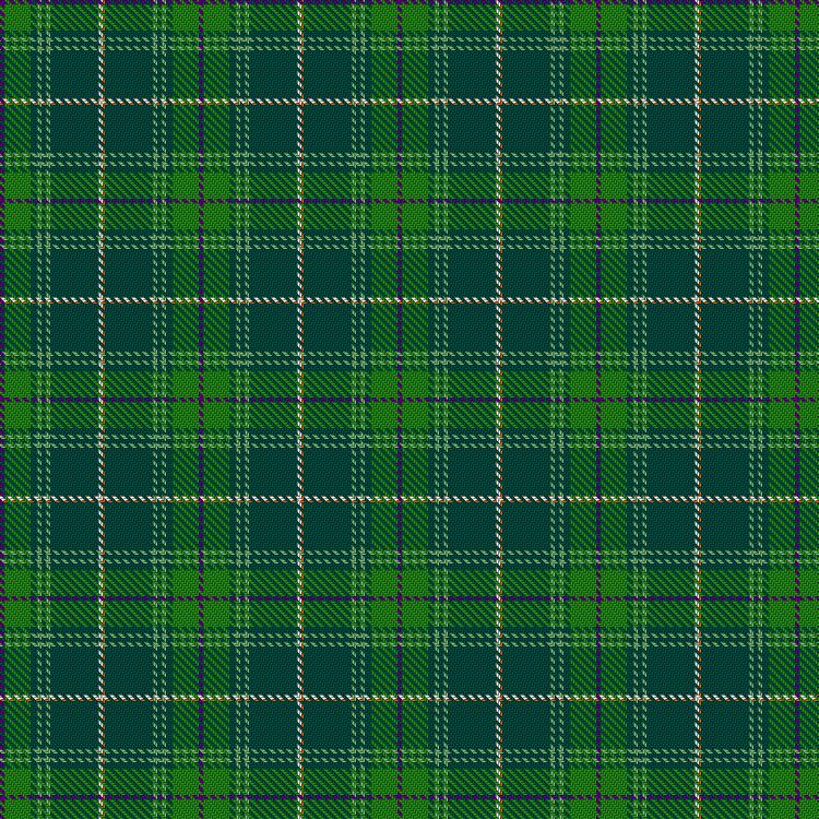 Tartan image: Macmillan Cancer Support. Click on this image to see a more detailed version.