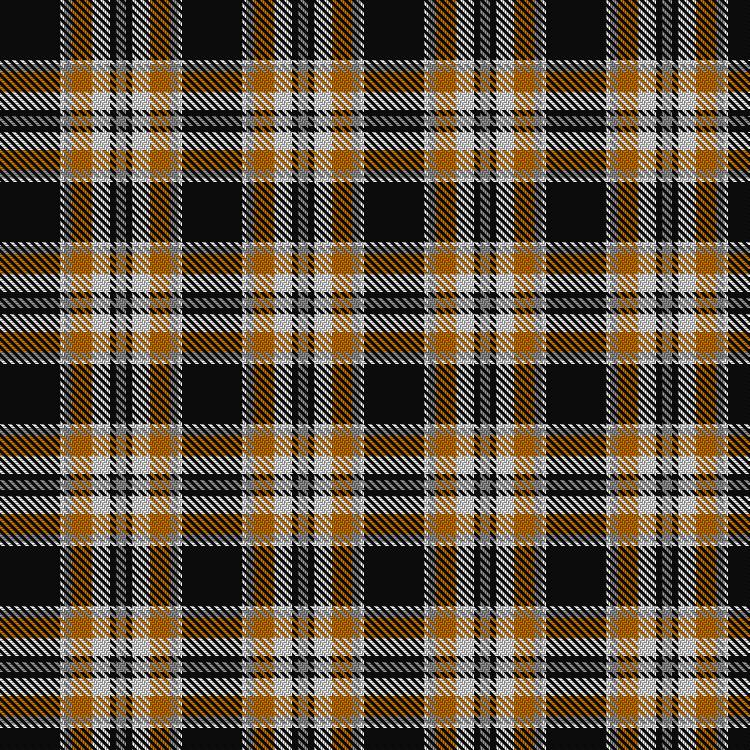 Tartan image: Virginia Commonwealth University. Click on this image to see a more detailed version.