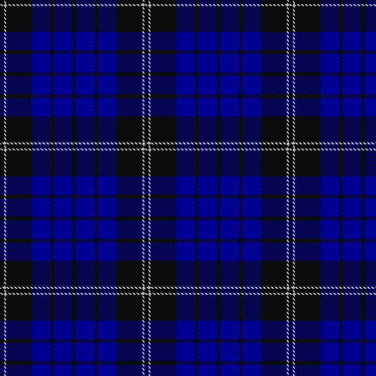 Tartan image: Swan 2015,  Brian E (Personal). Click on this image to see a more detailed version.