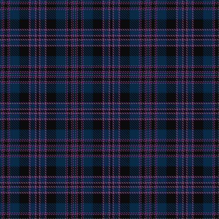 Tartan image: Asile. Click on this image to see a more detailed version.