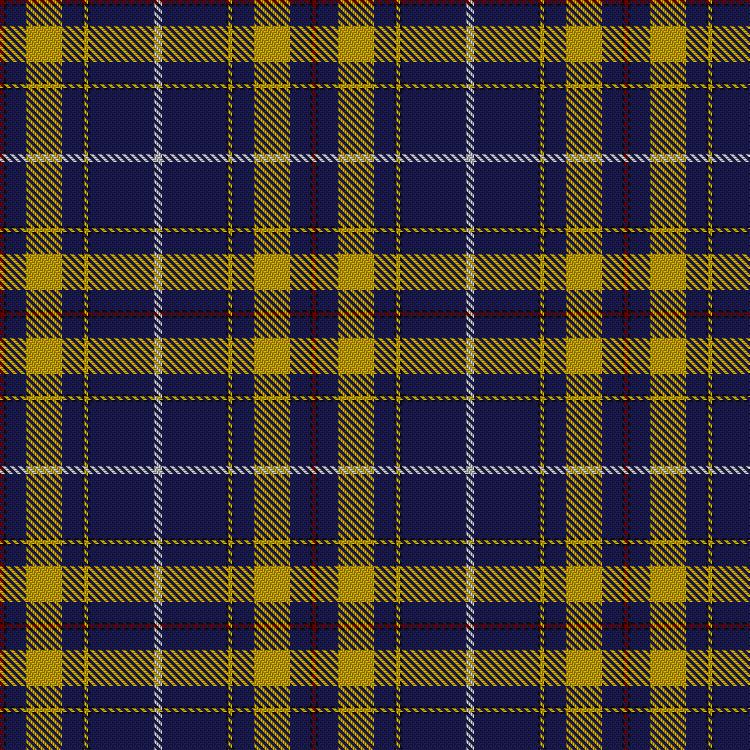 Tartan image: European Union. Click on this image to see a more detailed version.