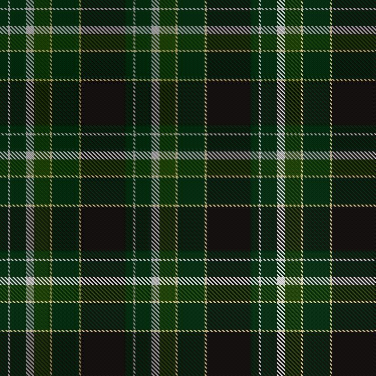 Tartan image: Crumlish (2015). Click on this image to see a more detailed version.