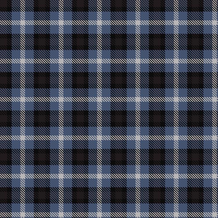 Tartan image: Equity Vision Ltd. Click on this image to see a more detailed version.