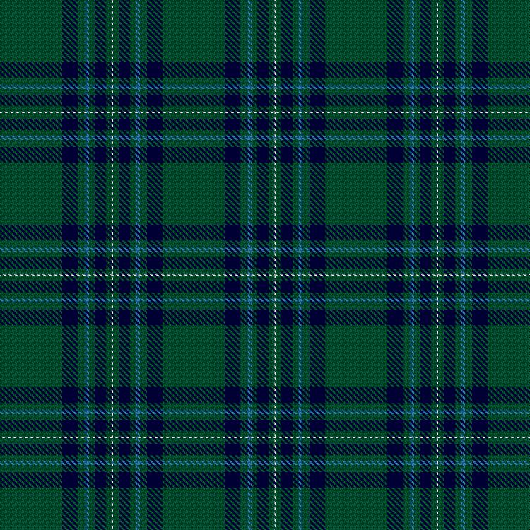 Tartan image: Hastings-Stephenson (Personal). Click on this image to see a more detailed version.