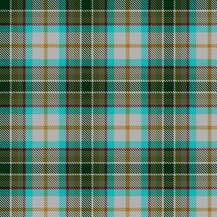Tartan image: Jones, Alexander Michael (Personal). Click on this image to see a more detailed version.