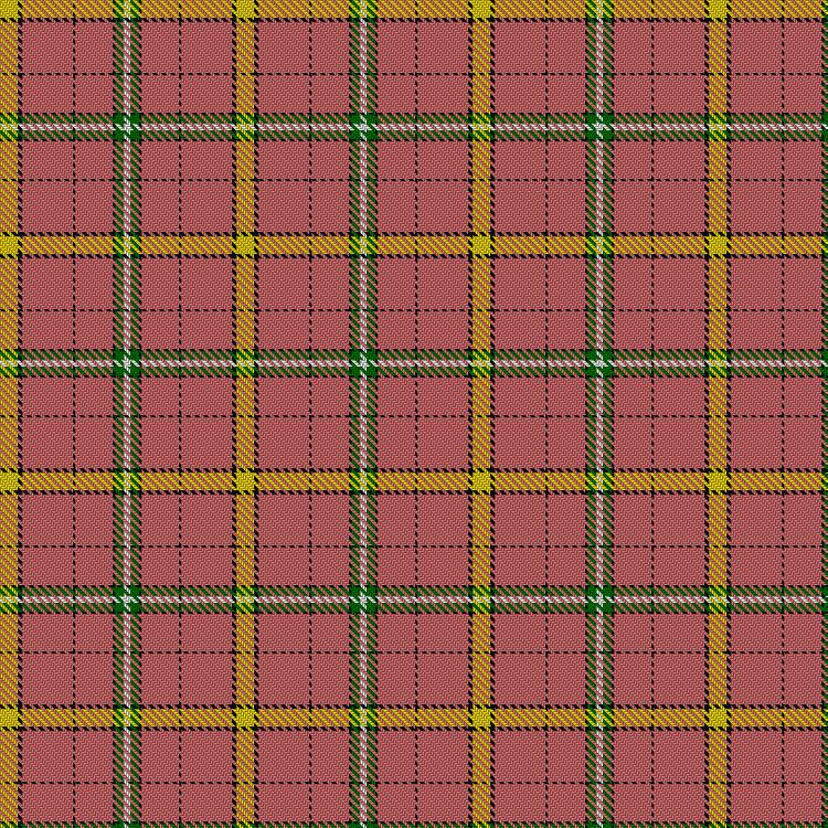 Tartan image: Hoa Sen. Click on this image to see a more detailed version.