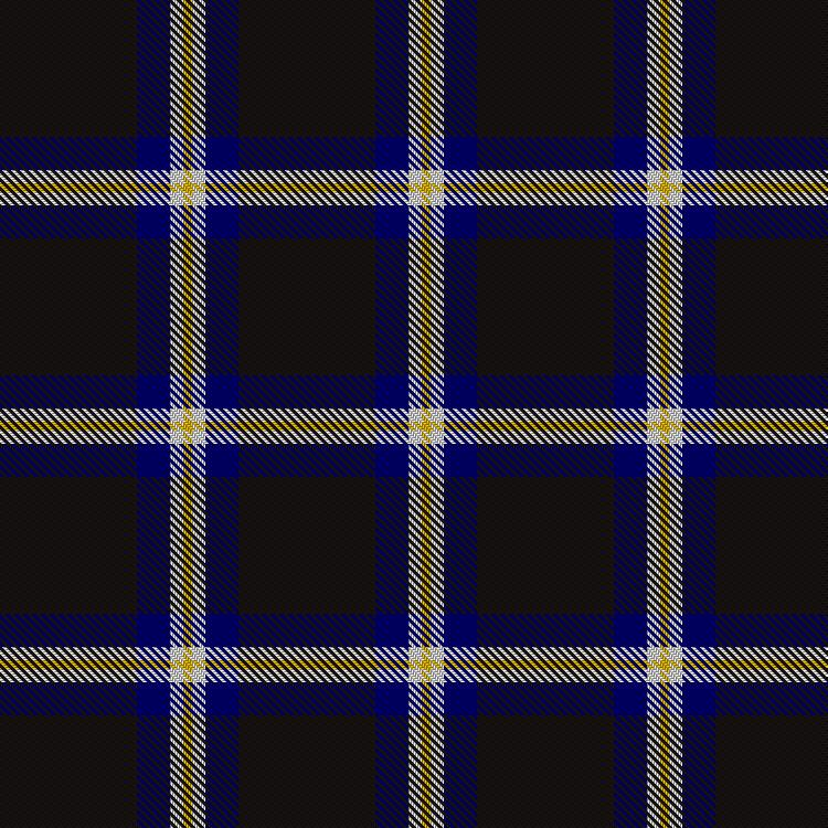 Tartan image: C-Tec N.I. Ltd. Click on this image to see a more detailed version.