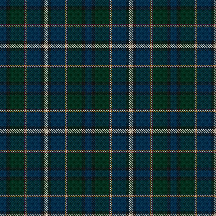 Tartan image: Army Ranger. Click on this image to see a more detailed version.