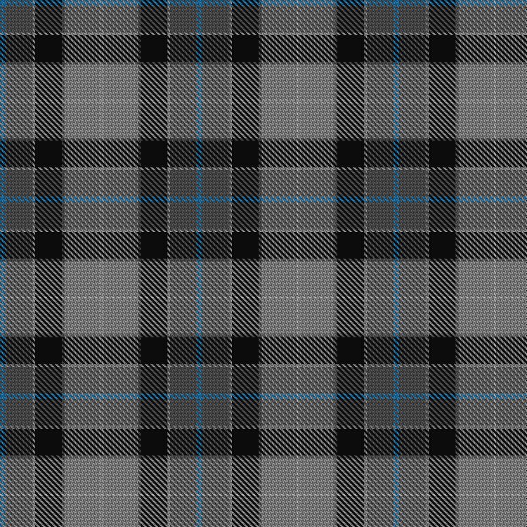 Tartan image: Ritchie, Stephen James (Personal). Click on this image to see a more detailed version.