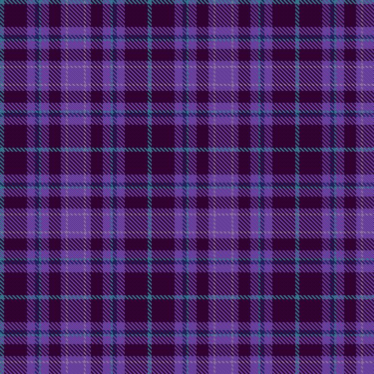 Tartan image: Learmonth Family (Herts) (Personal). Click on this image to see a more detailed version.