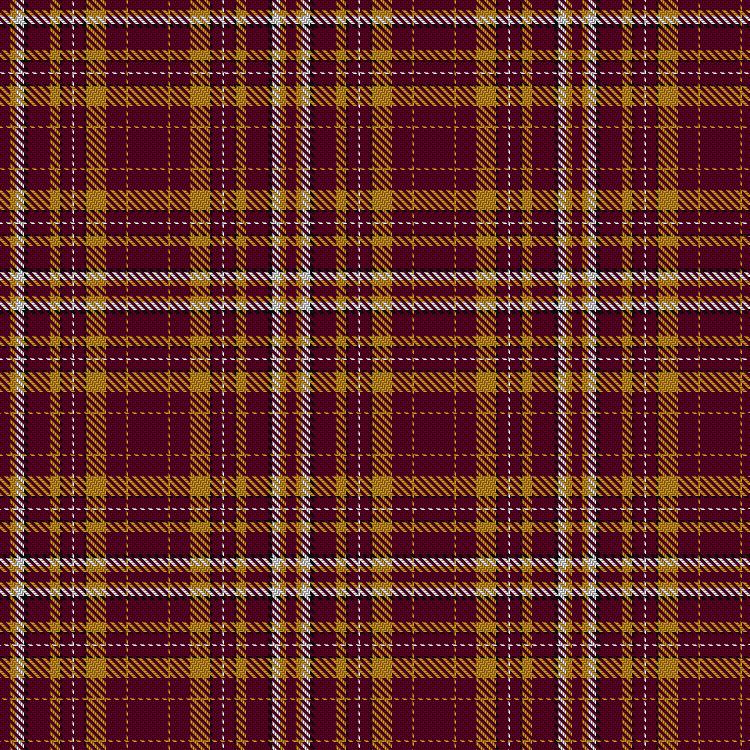 Tartan image: Motherwell Football Club Official. Click on this image to see a more detailed version.