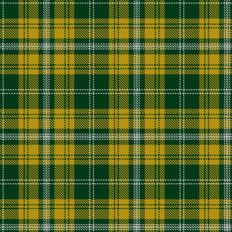 Tartan image: Australian Spirit. Click on this image to see a more detailed version.