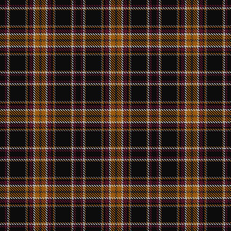 Tartan image: Northern Guard Supporters. Click on this image to see a more detailed version.