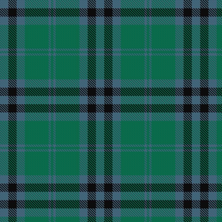 Tartan image: Falconer of Labhdal (Personal). Click on this image to see a more detailed version.