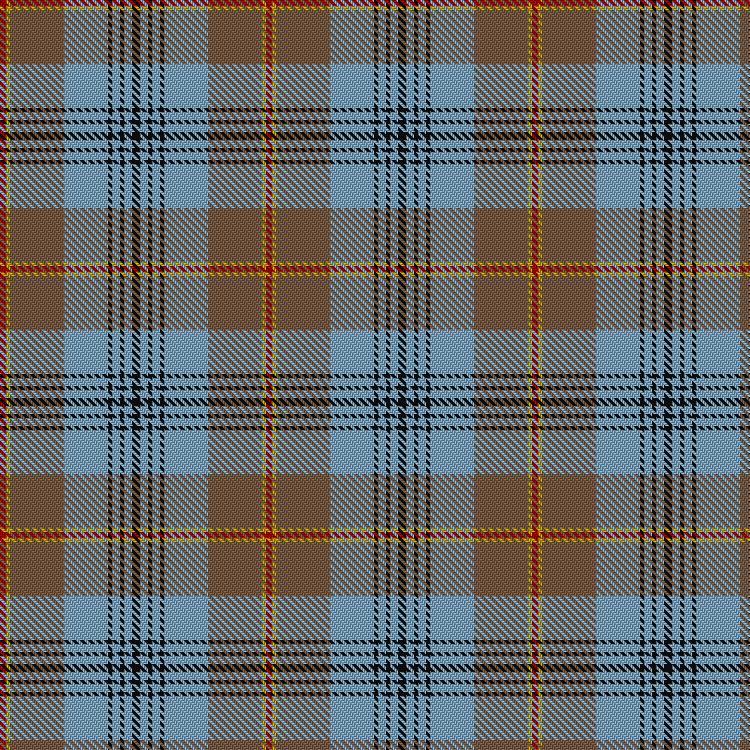 Tartan image: Falkirk. Click on this image to see a more detailed version.