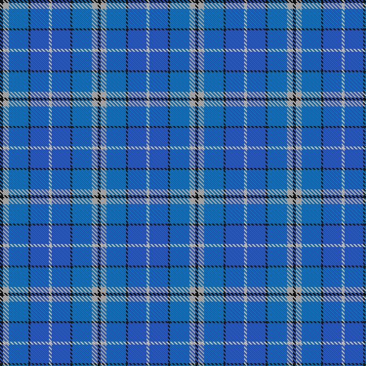 Tartan image: Tartan Explorer, The. Click on this image to see a more detailed version.