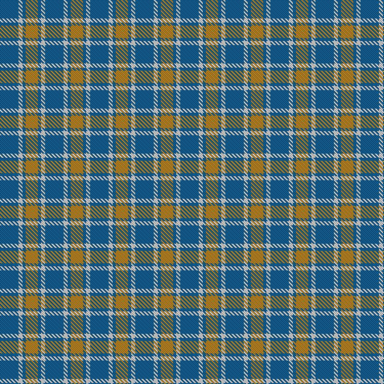 Tartan image: Genesee Community College. Click on this image to see a more detailed version.