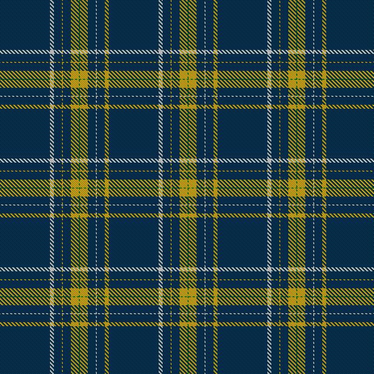 Tartan image: Herry (2016). Click on this image to see a more detailed version.